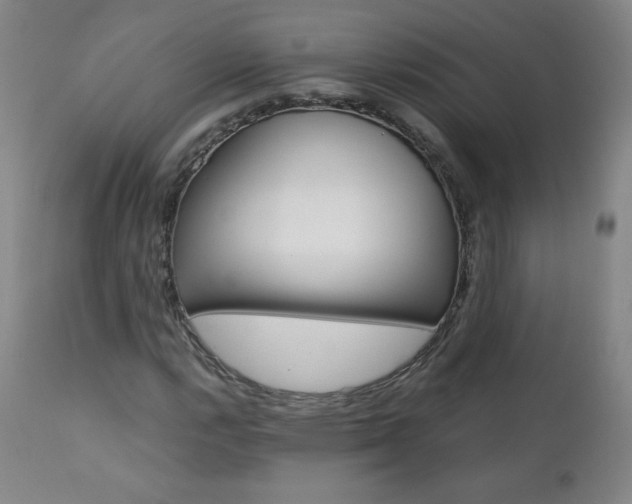 X0000111391112200907100954