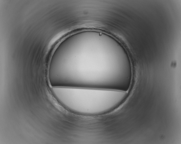 X0000111391114200907100954