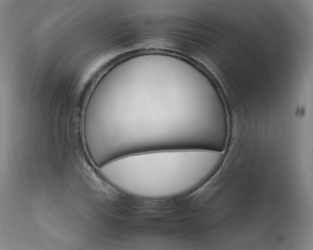 X0000111391115200907100954