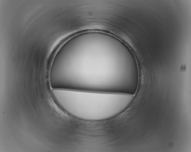 X0000111391116200907100954
