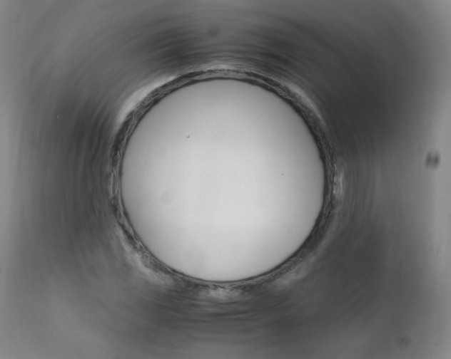 X0000111391117200907100954