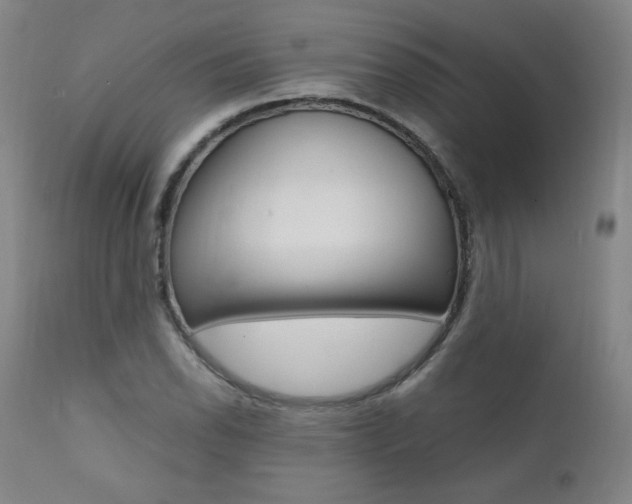 X0000111391118200907100954