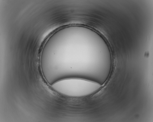 X0000111391119200907100954