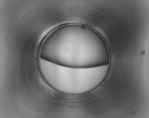 X0000111391120200907100954