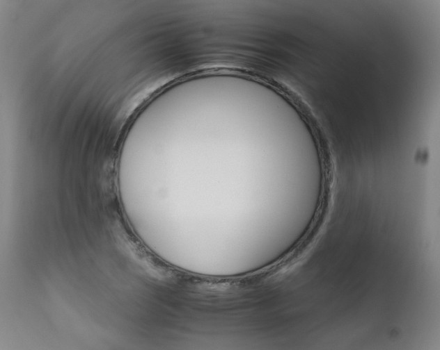 X0000111391121200907100954