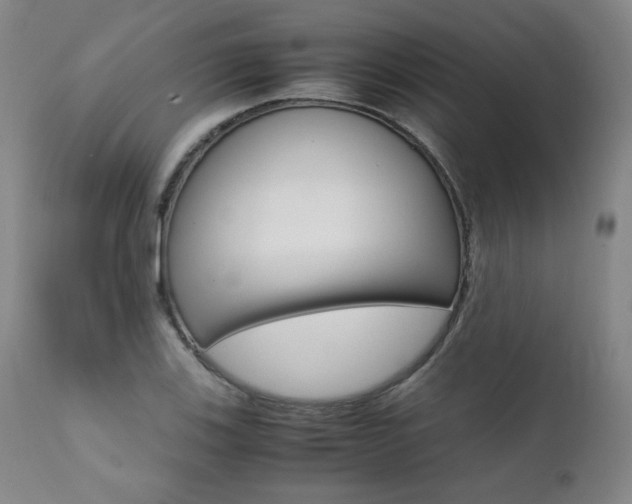 X0000111391123200907100954