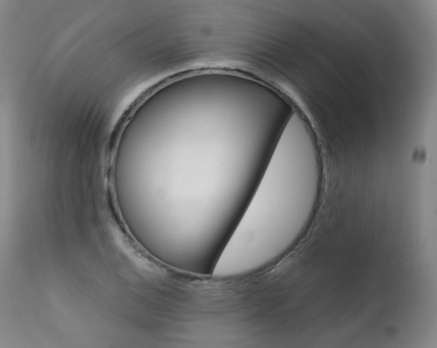 X0000111391124200907100954
