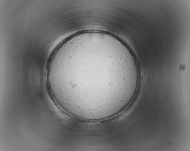 X0000111391125200907100954