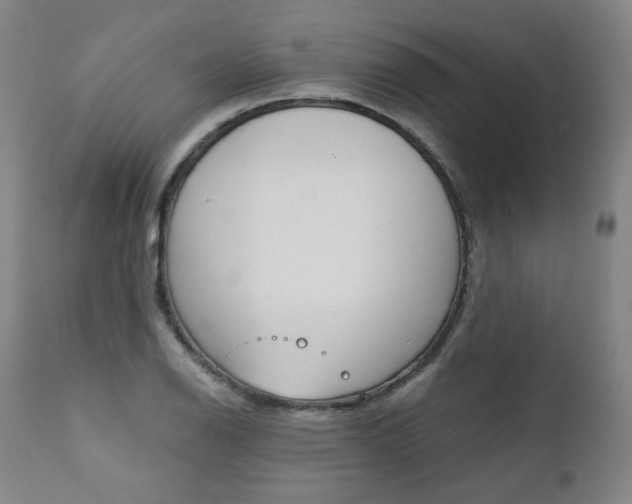 X0000111391126200907100954