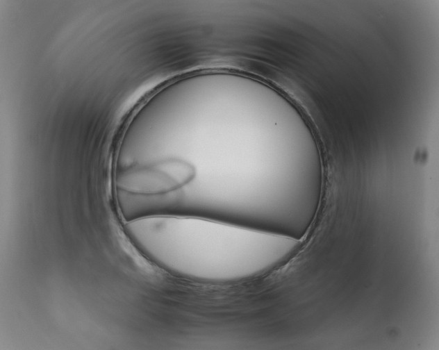 X0000111391127200907100954