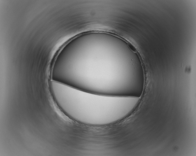 X0000111391128200907100954