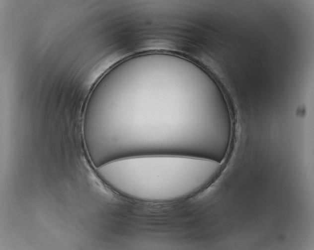 X0000111391129200907100954
