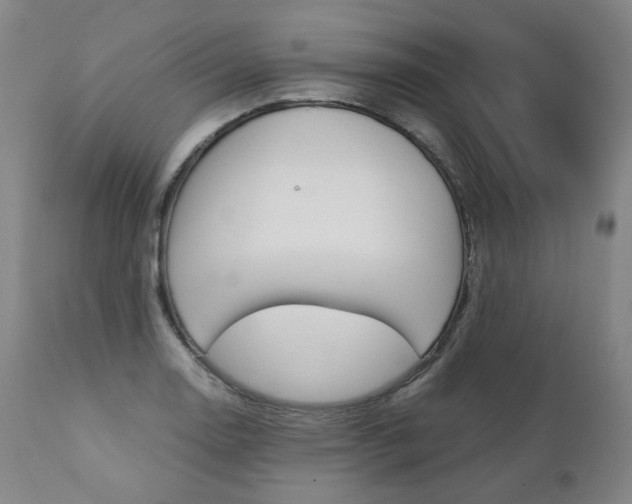 X0000111391130200907100954