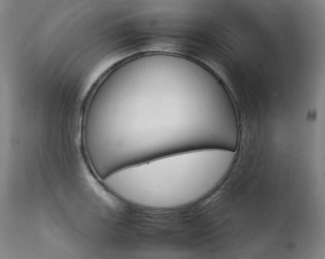 X0000111391131200907100954