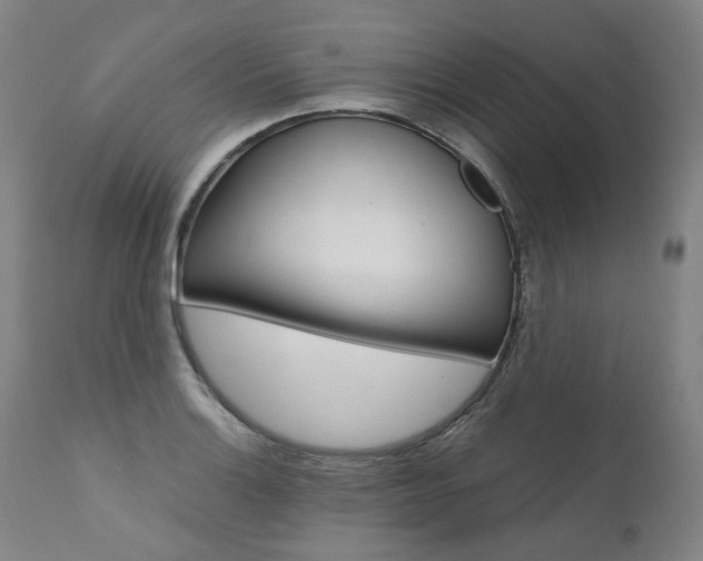 X0000111391132200907100954
