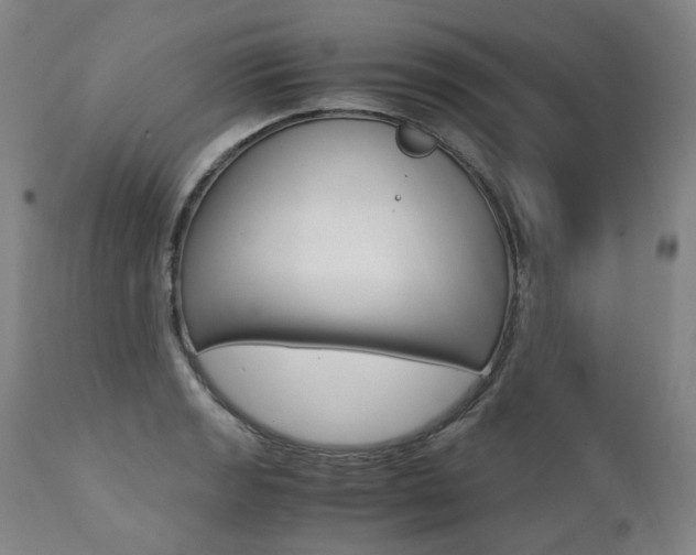 X0000111391133200907100954