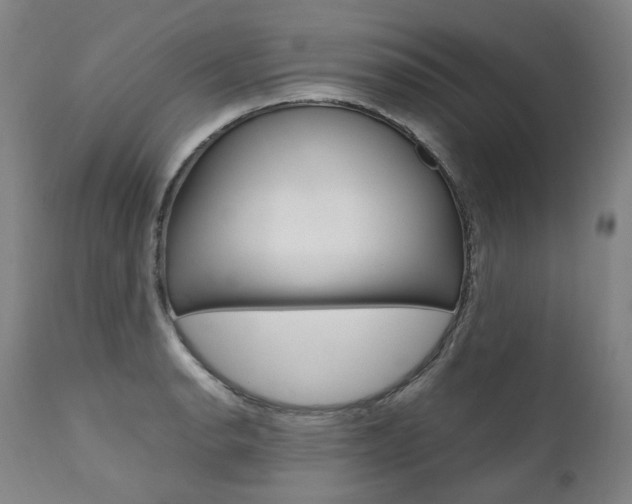 X0000111391134200907100954