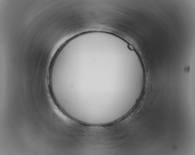 X0000111391136200907100954