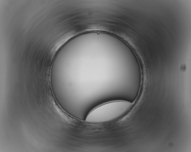 X0000111391137200907100954