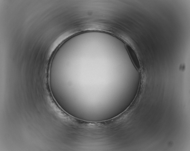 X0000111391138200907100954