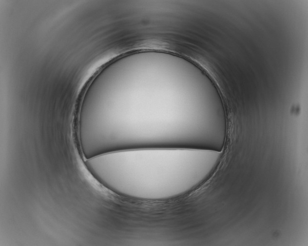 X0000111391139200907100954