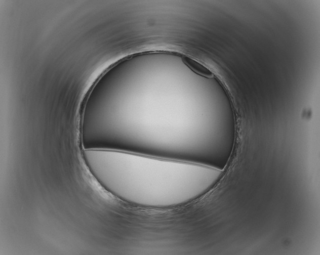 X0000111391140200907100954