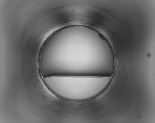 X0000111391141200907100954