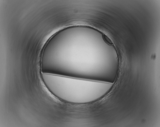 X0000111391142200907100955