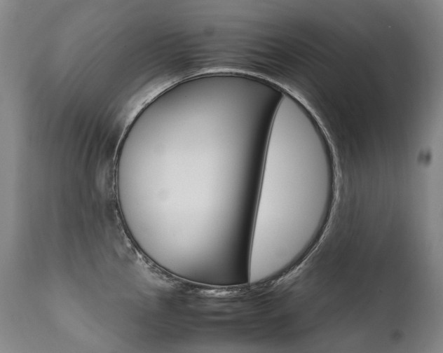 X0000111391145200907100955