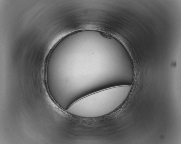 X0000111391147200907100955