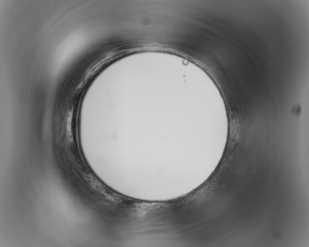 X0000111391150200907100955