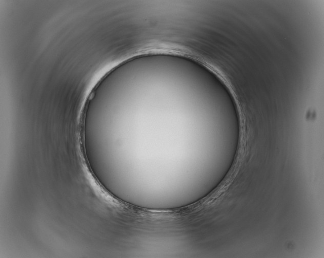 X0000111391152200907100955