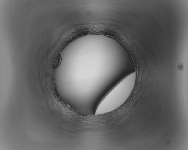 X0000111391153200907100954