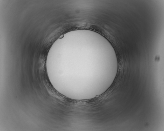 X0000111391154200907100954
