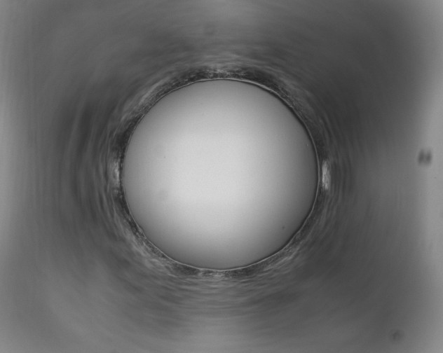 X0000111391155200907100954