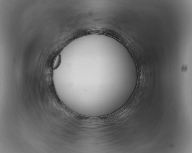 X0000111391156200907100954