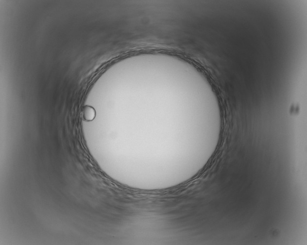 X0000111391157200907100954
