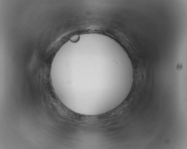 X0000111391158200907100954