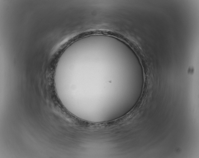 X0000111391159200907100954