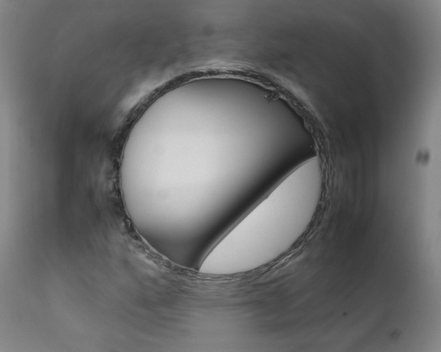 X0000111391160200907100954