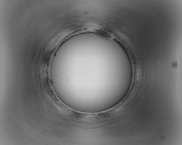 X0000111391161200907100954