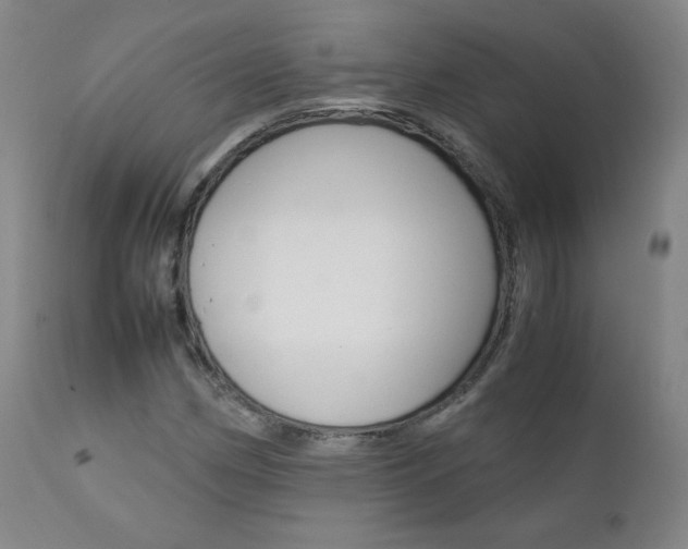 X0000111391162200907100954