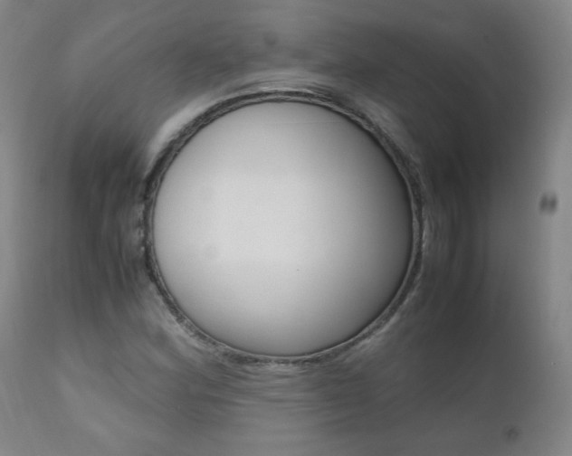 X0000111391164200907100954