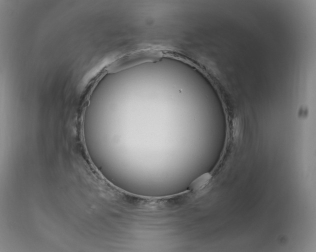 X0000111391165200907100954