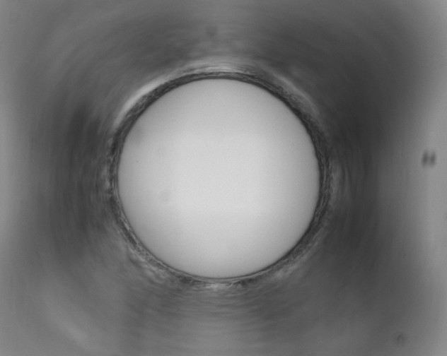 X0000111391166200907100954