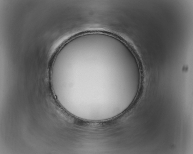 X0000111391167200907100954