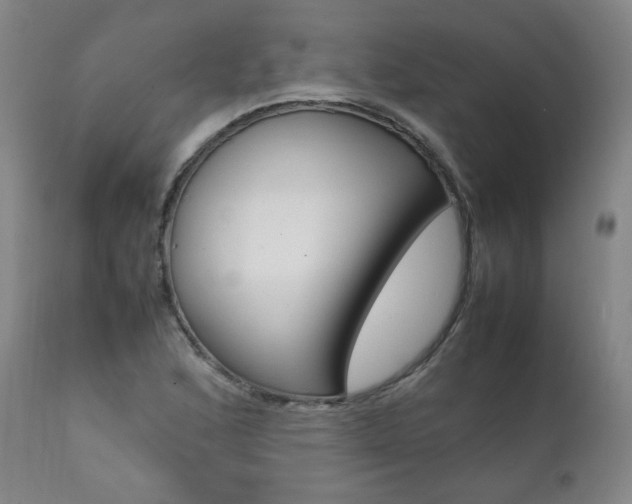 X0000111391168200907100954