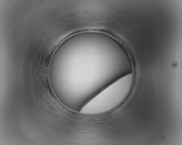 X0000111391169200907100954