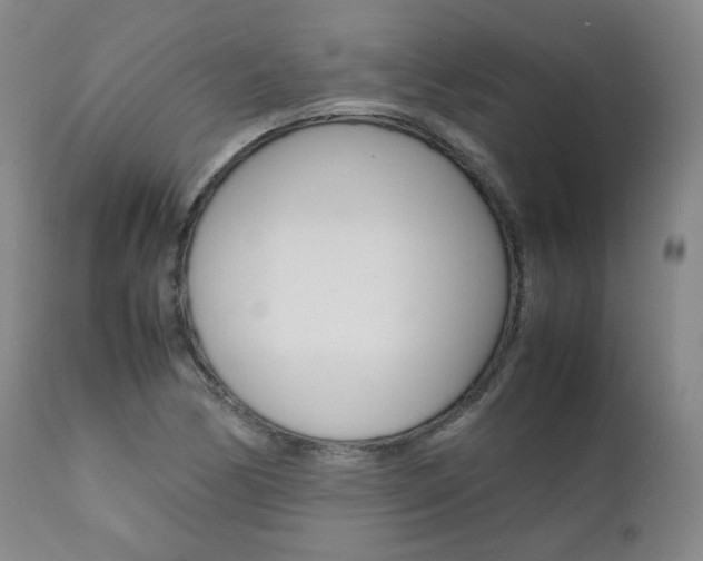 X0000111391170200907100954