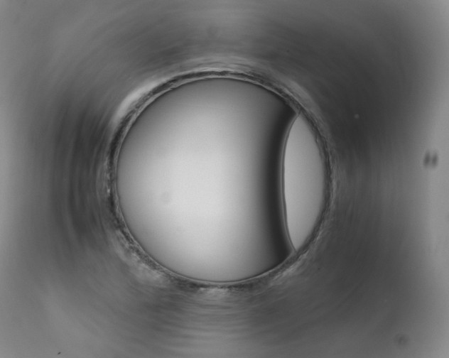 X0000111391172200907100954